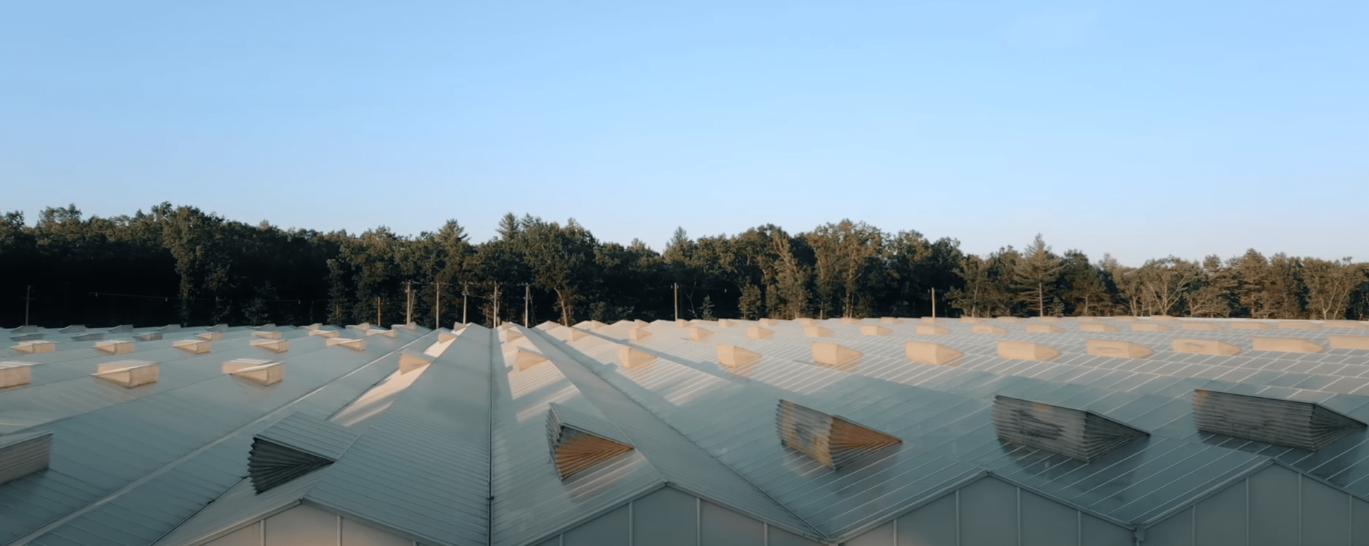 Lettuce production using compressed air